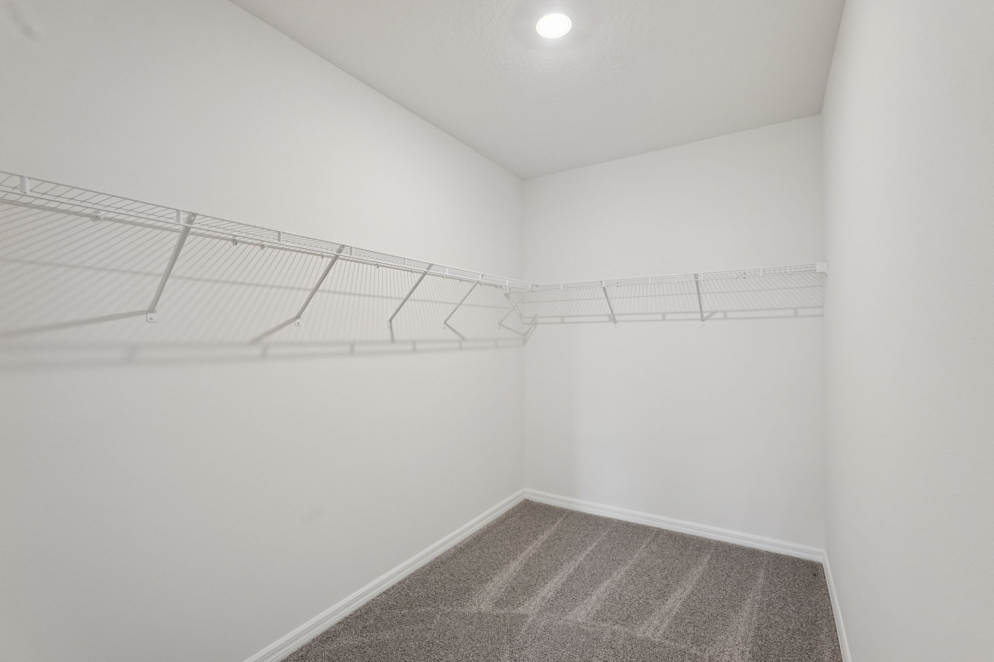 Tampa - Salt Meadows - 14033 Crutchfield Ct Parrish, FL 34219-020