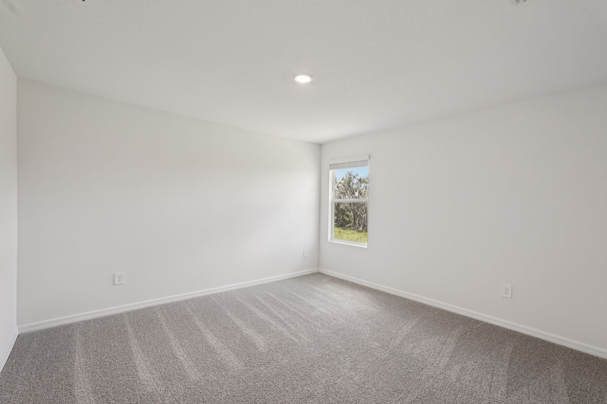 Tampa - Salt Meadows - 14033 Crutchfield Ct Parrish, FL 34219-031