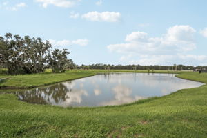 Tampa - Salt Meadows - 14033 Crutchfield Ct Parrish, FL 34219-039