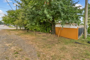  Photo 37