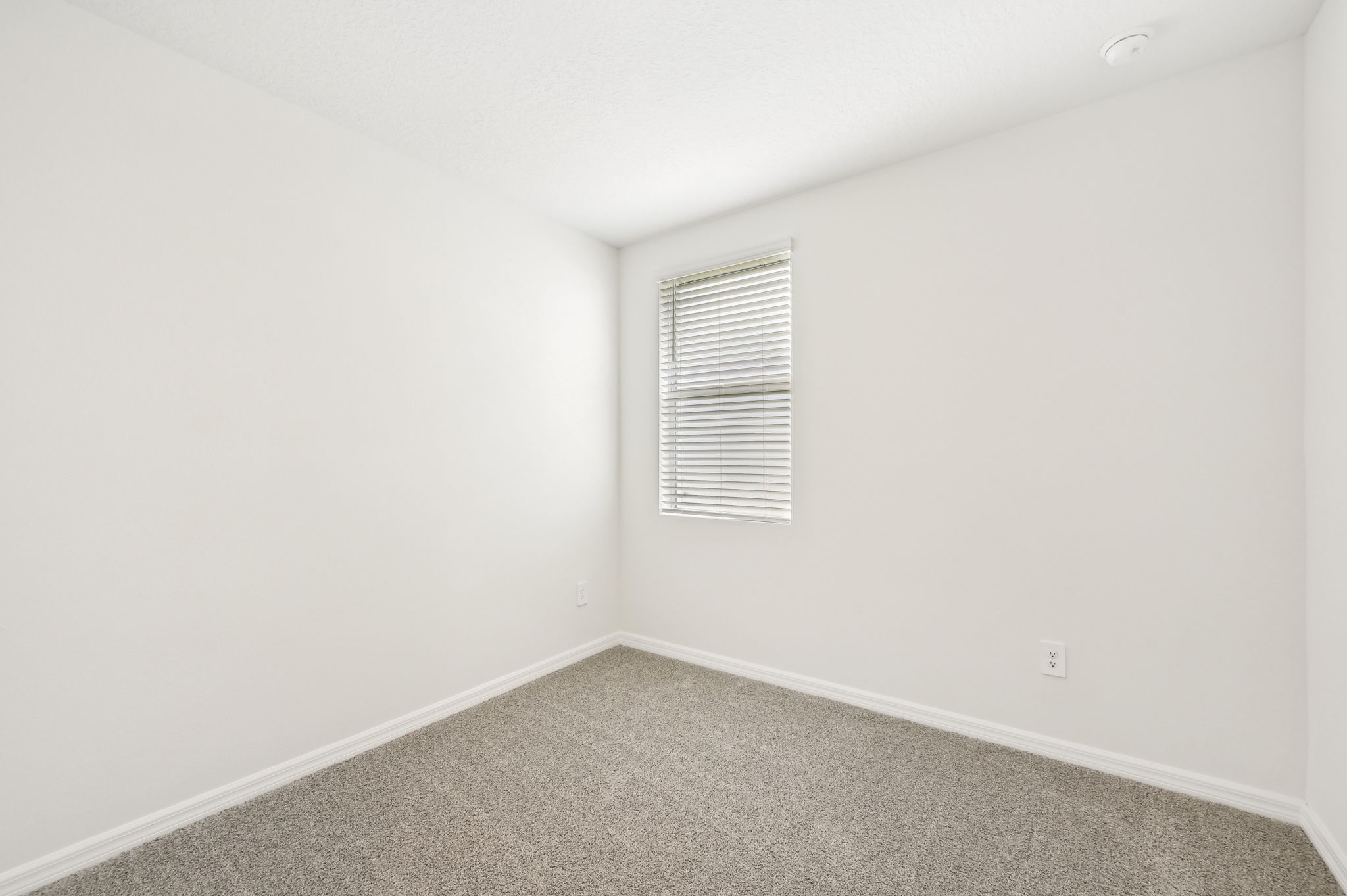 Tampa - Salt Meadows - 14037 Crutchfield Ct, Parrish, FL 34219 - 018