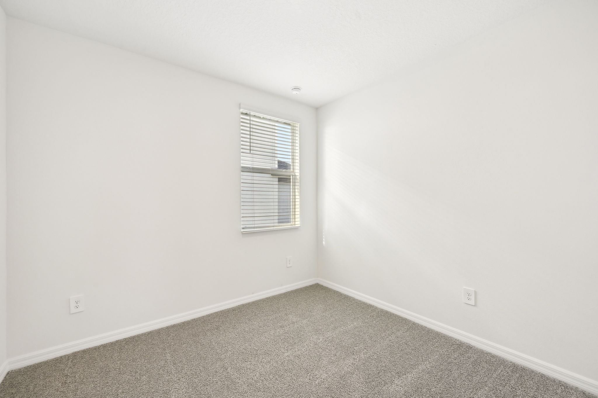 Tampa - Salt Meadows - 14037 Crutchfield Ct, Parrish, FL 34219 - 022