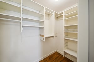 Primary walk-in closet