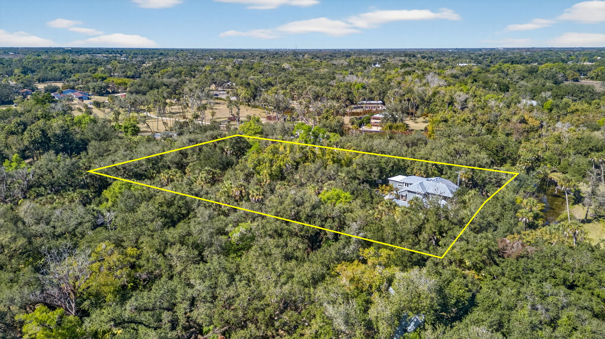 Aerial Rear Exterior 4 - lot lines