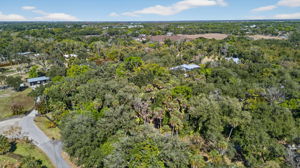 Aerial Front Exterior 4