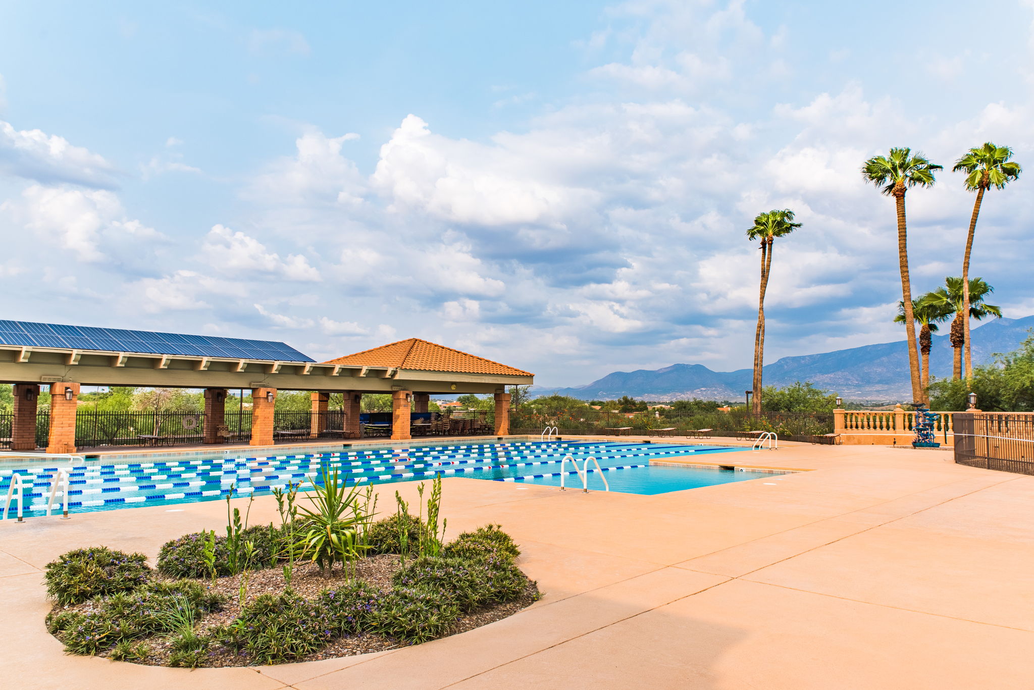 Lap Pool