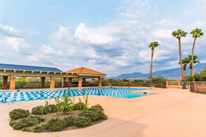 Lap Pool