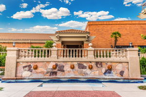 Sun City Center Fountain