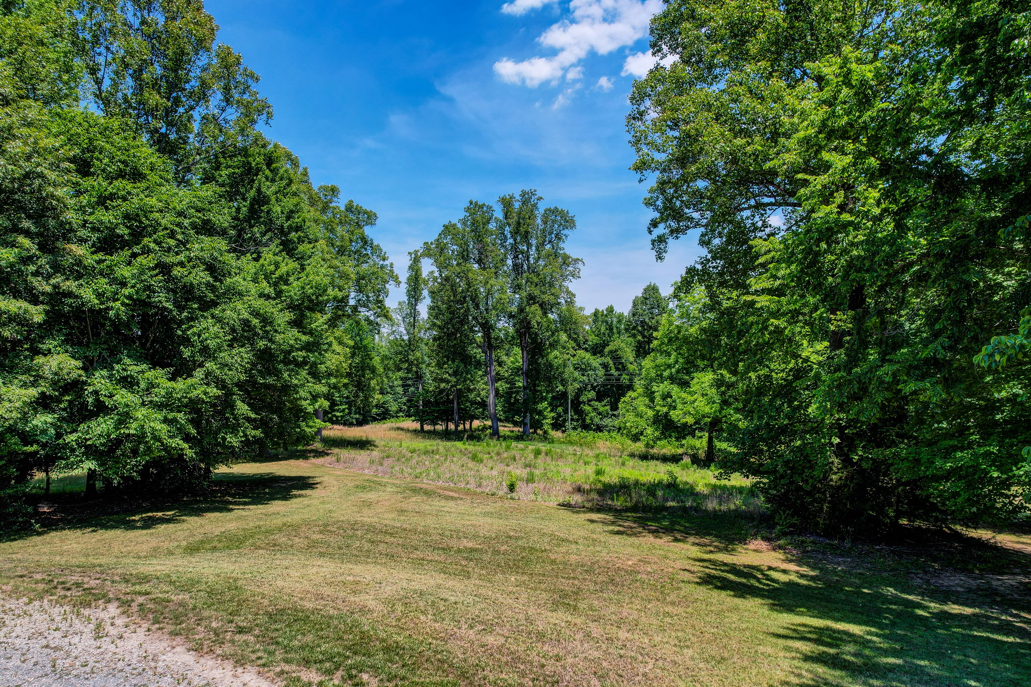 Pasture - Field