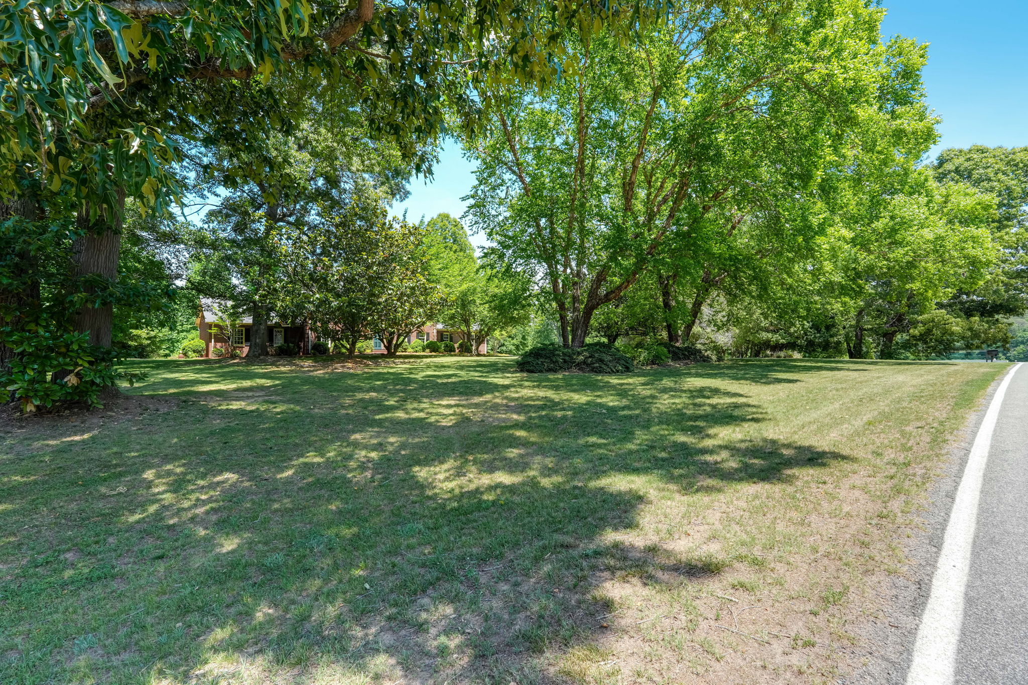 Front Yard