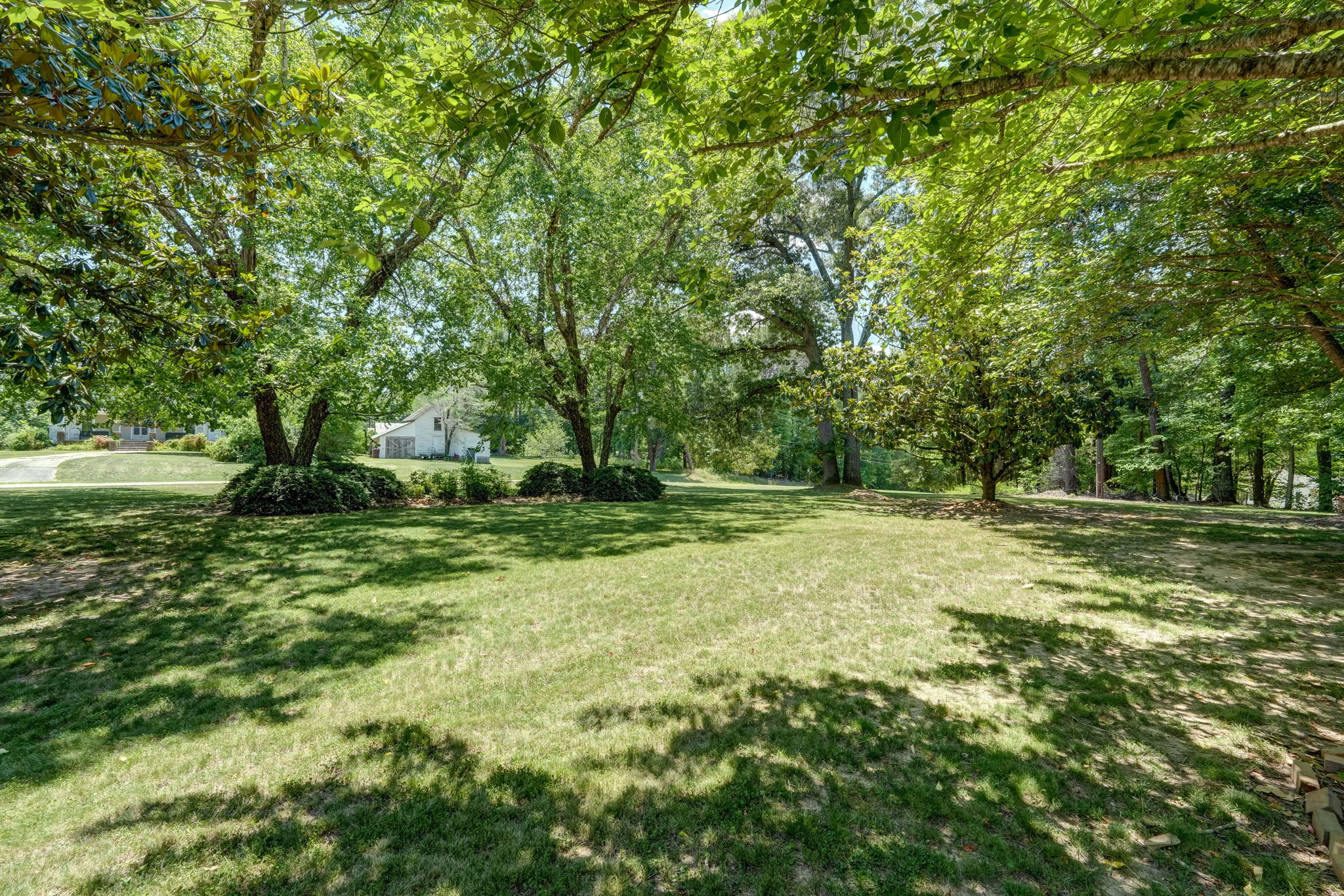 Front Yard