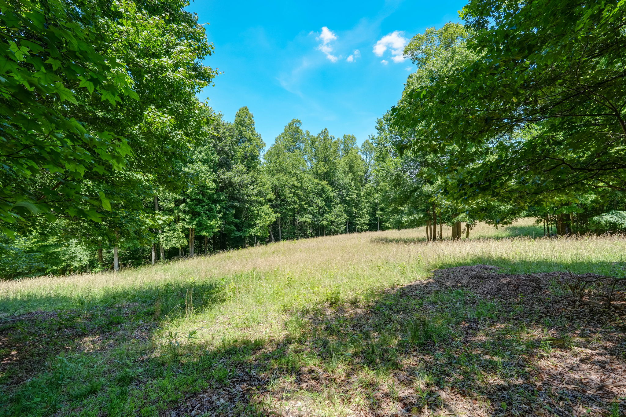 Pasture - Field