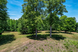 Pasture - Field