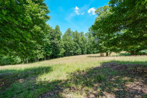 Pasture - Field