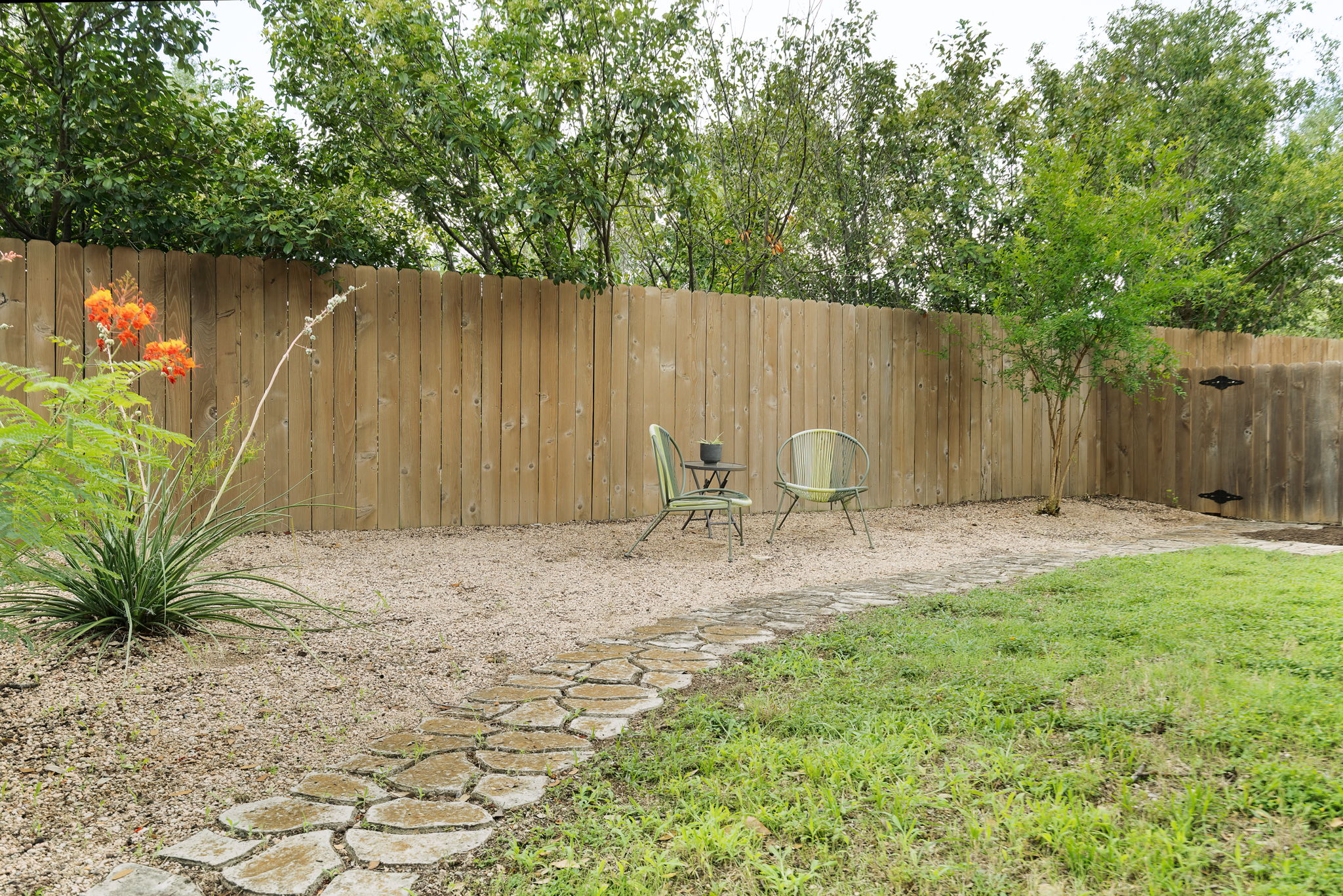  Photo 44