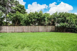 Backyard