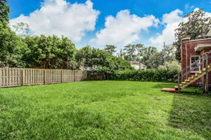 Backyard