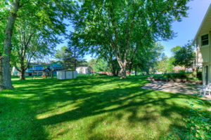 Backyard View