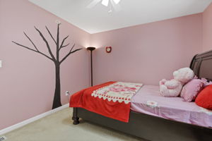  Photo 36