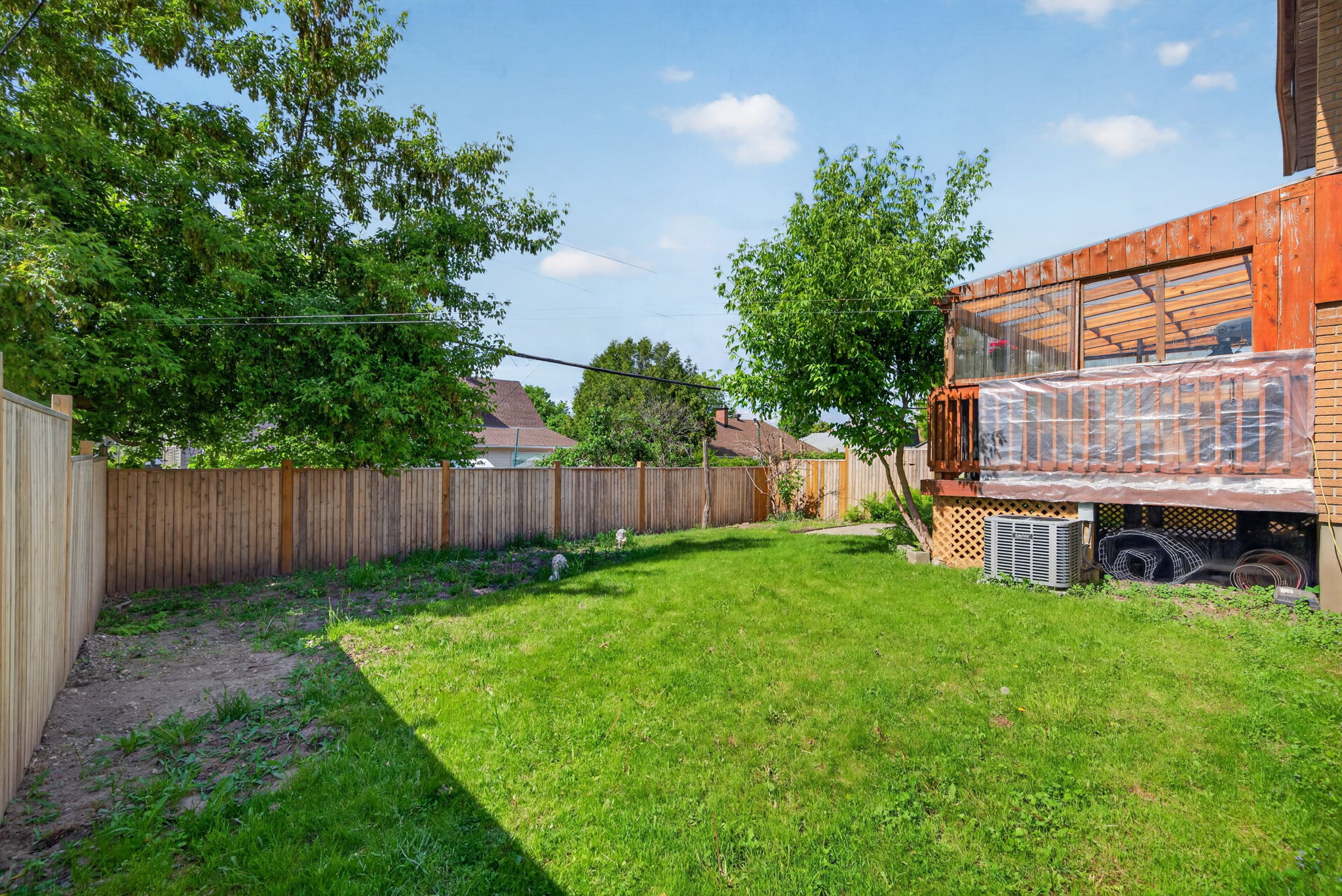 Photo 54
