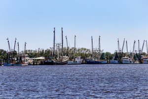 Mayport Village