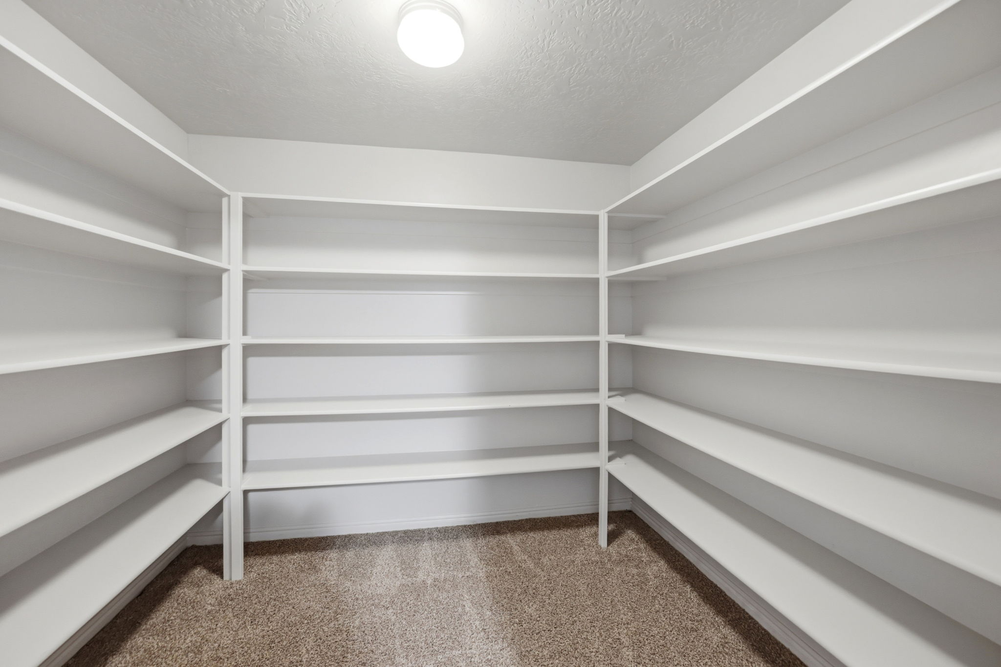 Huge Downstairs Bedroom Closet