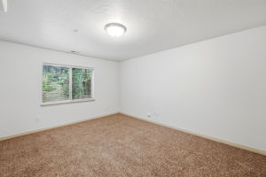 Downstairs Bedroom
