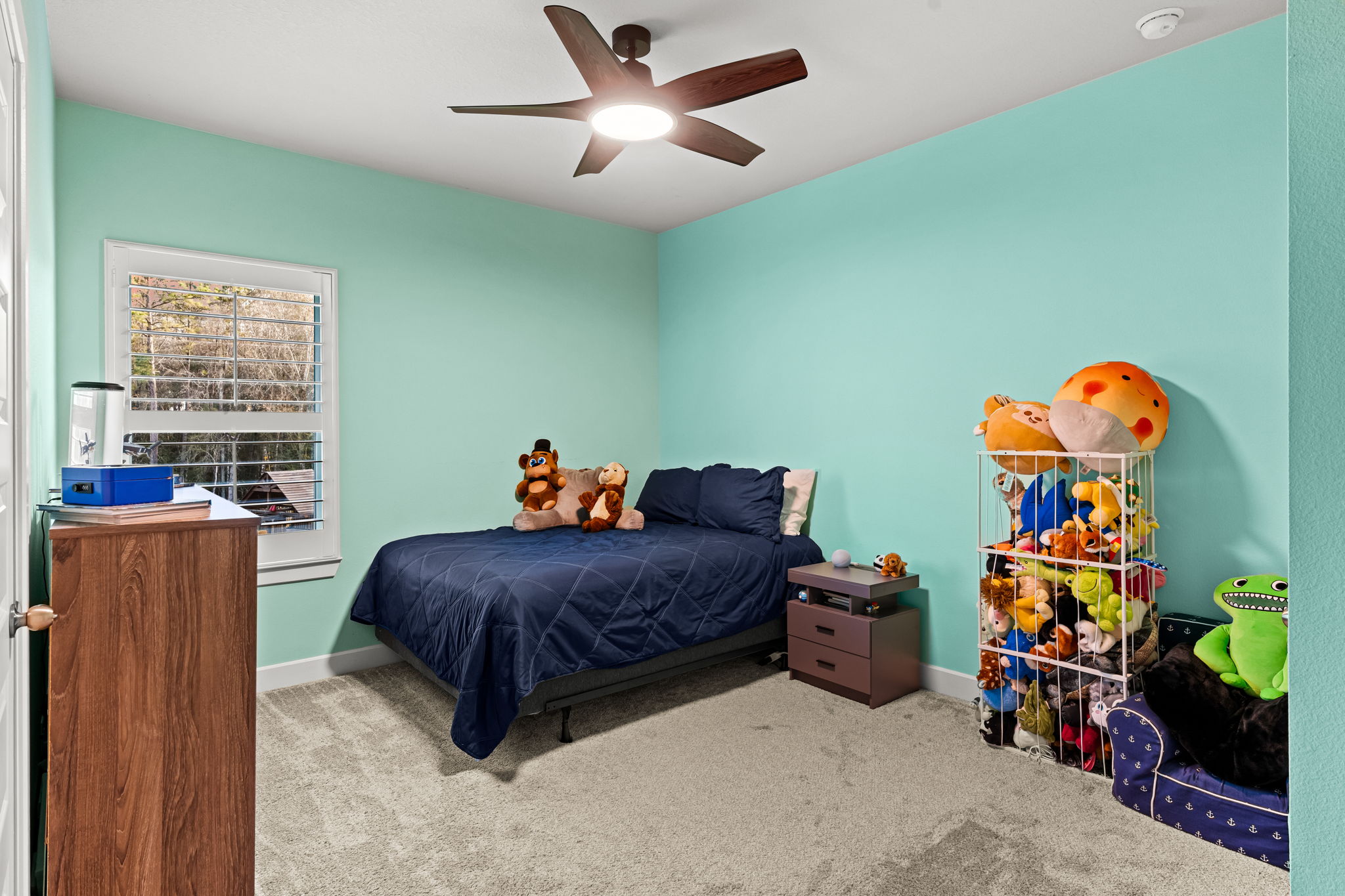  Photo 47
