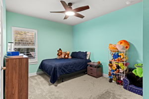 Photo 46