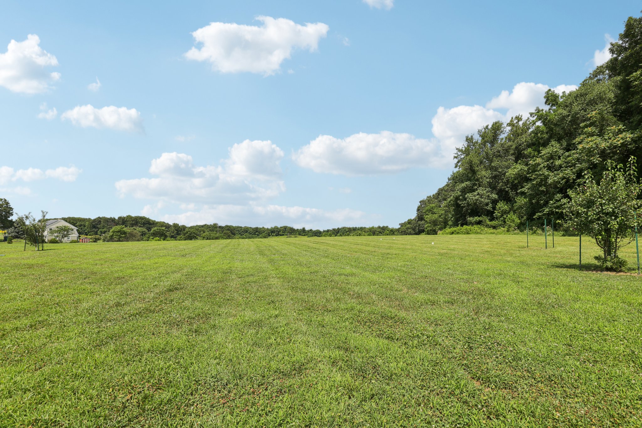Hawkes Ct-S2207-062.jpg