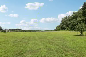 Hawkes Ct-S2207-062.jpg