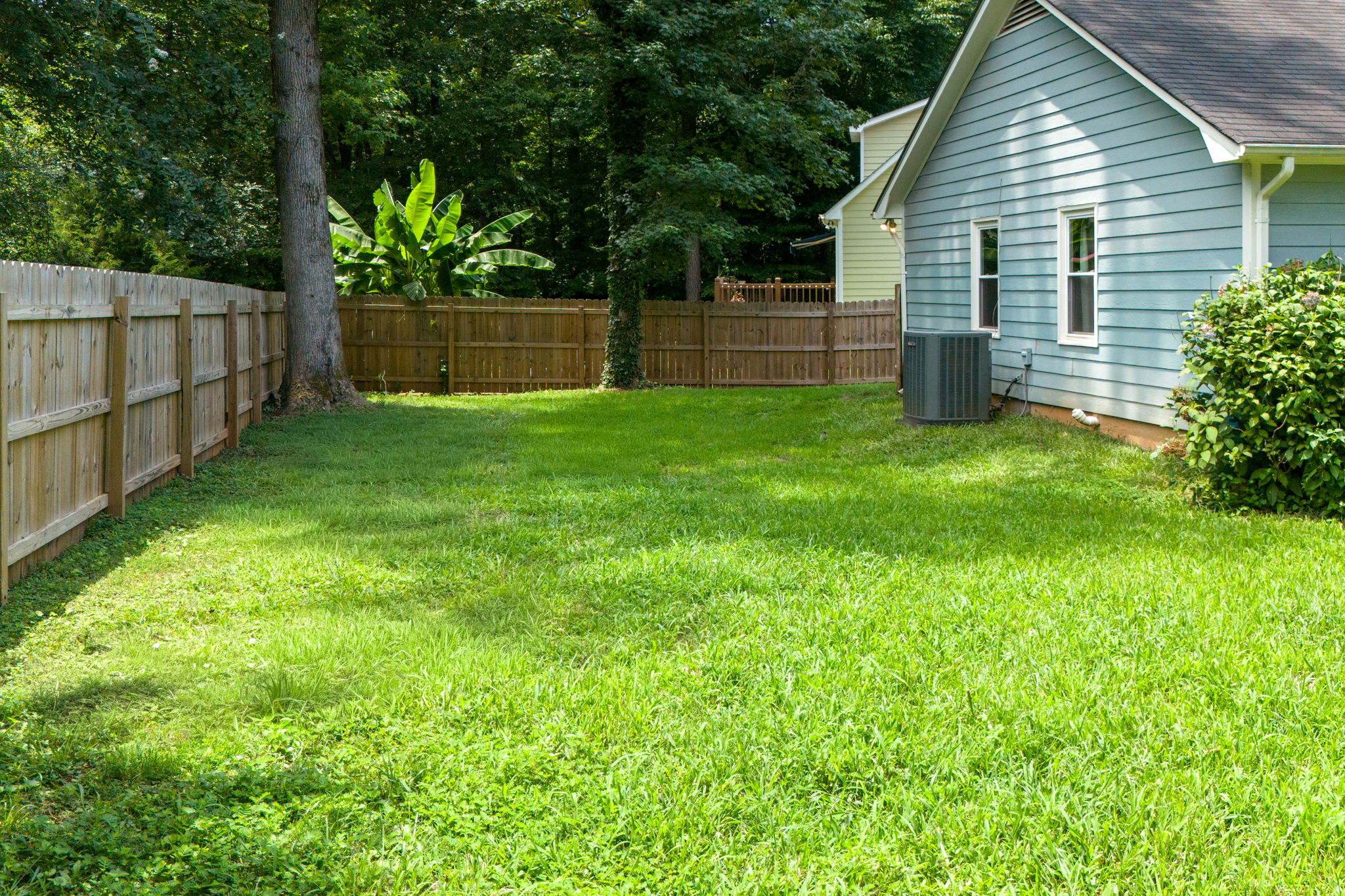 Backyard