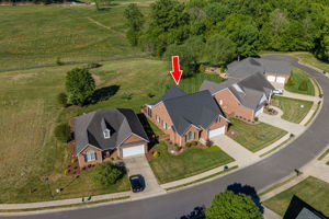  Photo 53