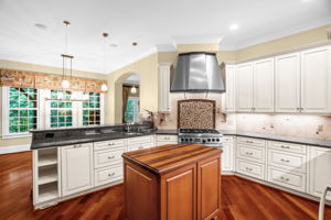 141 Wellsprings Ct-14