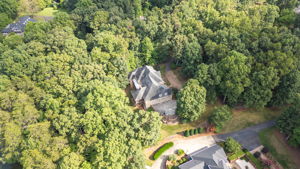 141 Wellsprings Ct-81