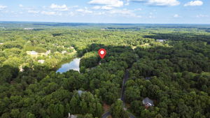 141 Wellsprings Ct-85