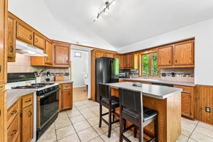 Appaloosa Trl-S1305-019.jpg