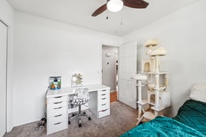 Appaloosa Trl-S1305-023.jpg