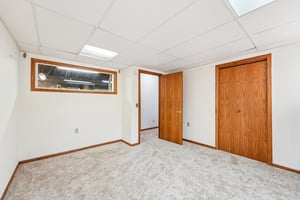 Appaloosa Trl-S1305-039.jpg
