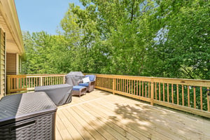 Appaloosa Trl-S1305-046.jpg