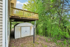 Appaloosa Trl-S1305-050.jpg