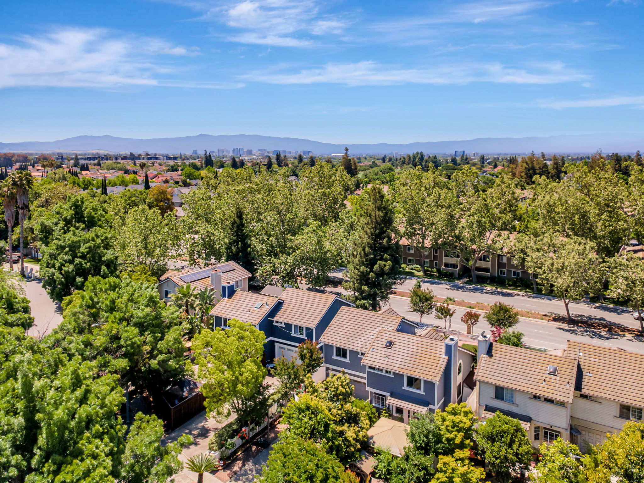 013_AERIAL_ 1410 Lundy Ave  San