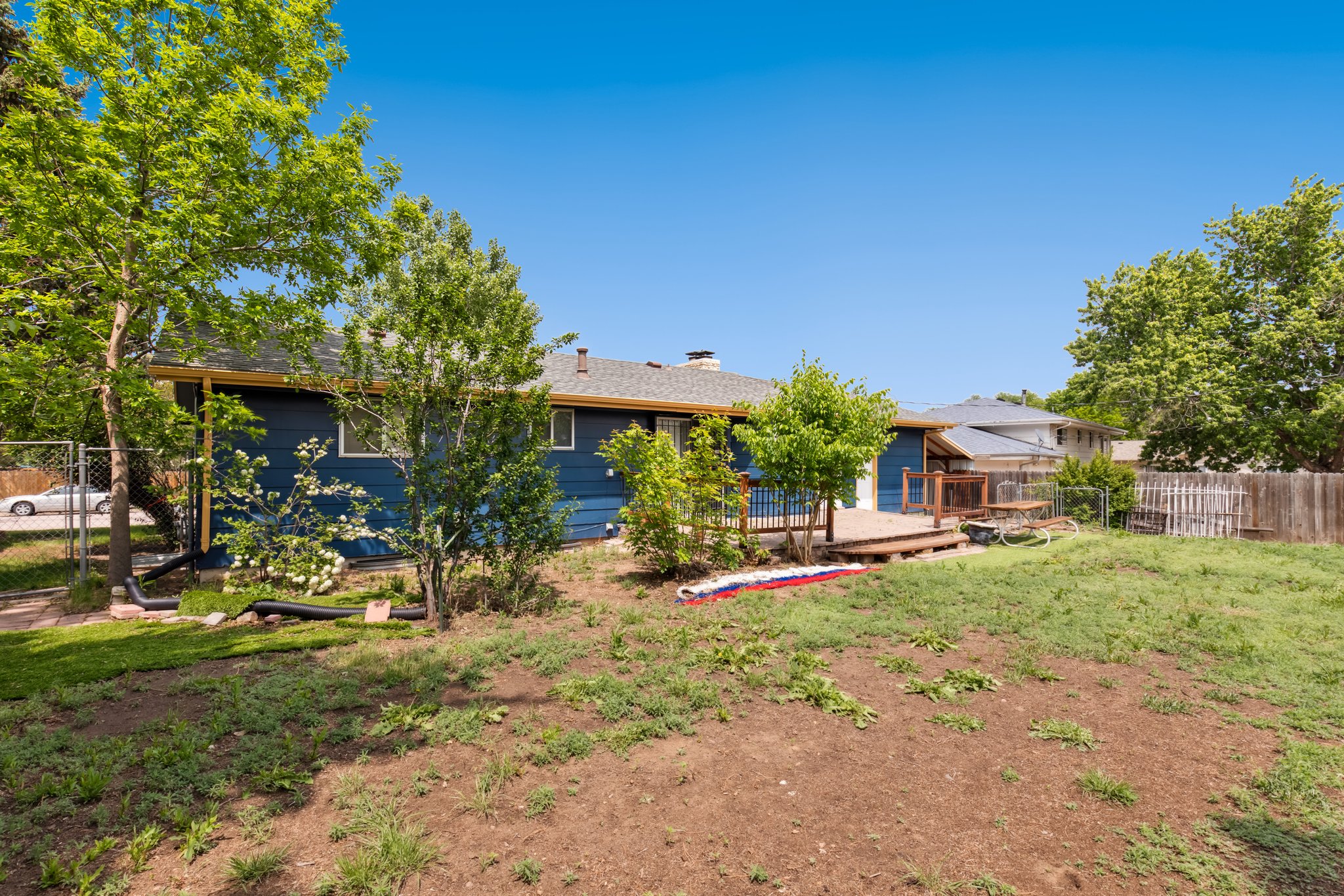 Back Yard