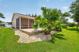 Rear and Side Elevation with Patio and Privacy Landscaping