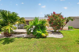 Rear Elevation with Privacy Landscaping