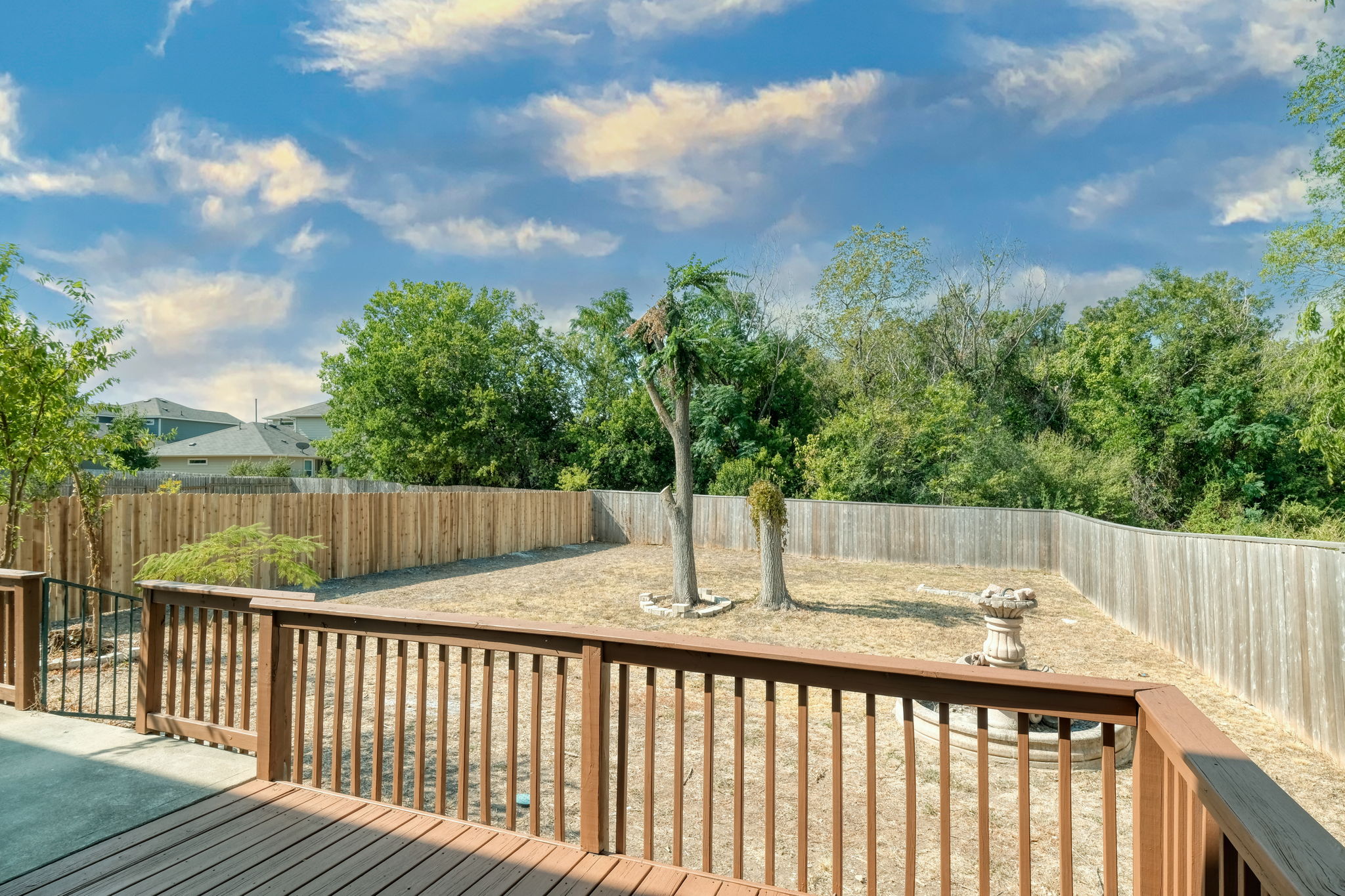 Back Yard