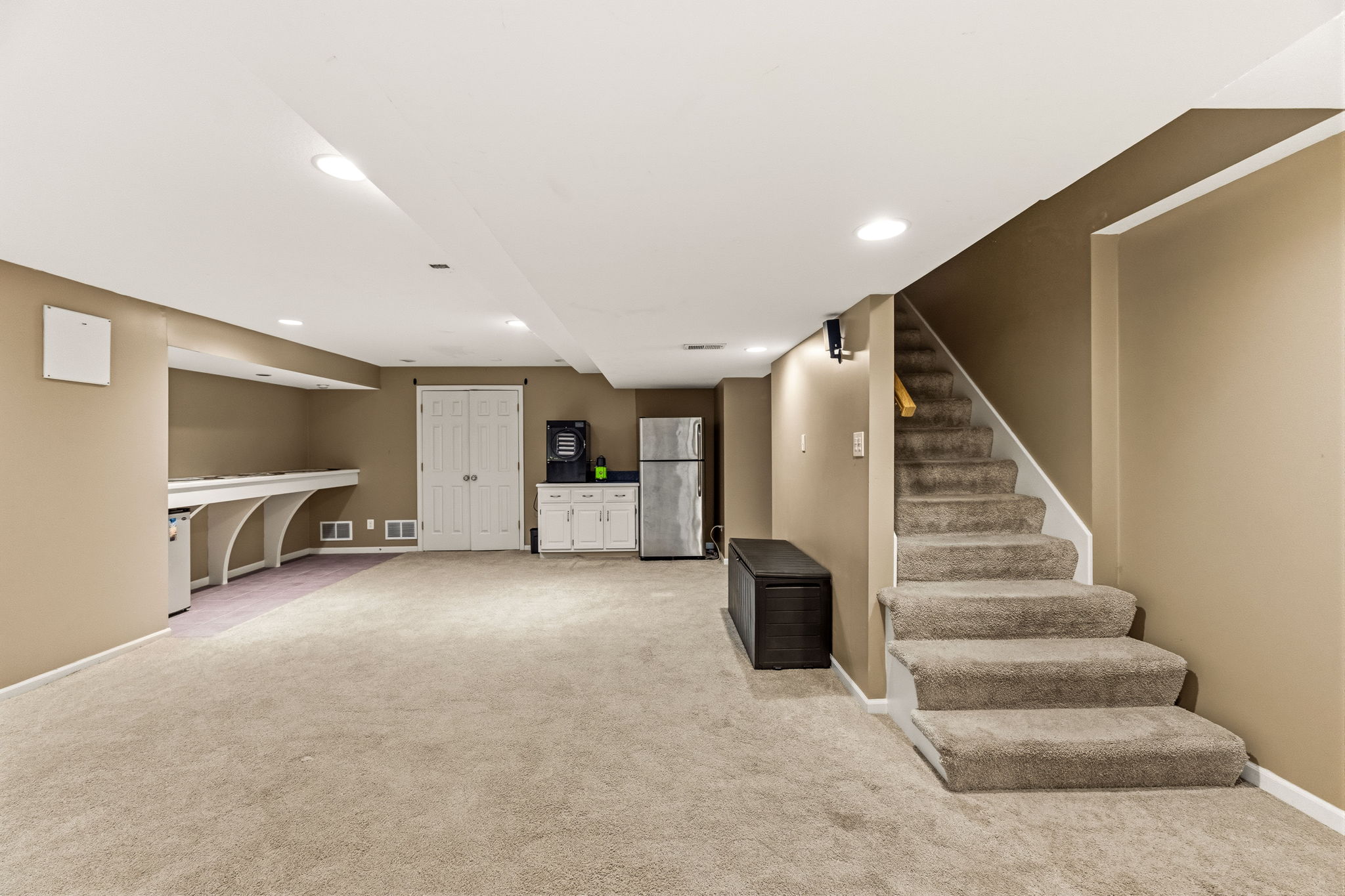 Lower level rec room & storage access doors