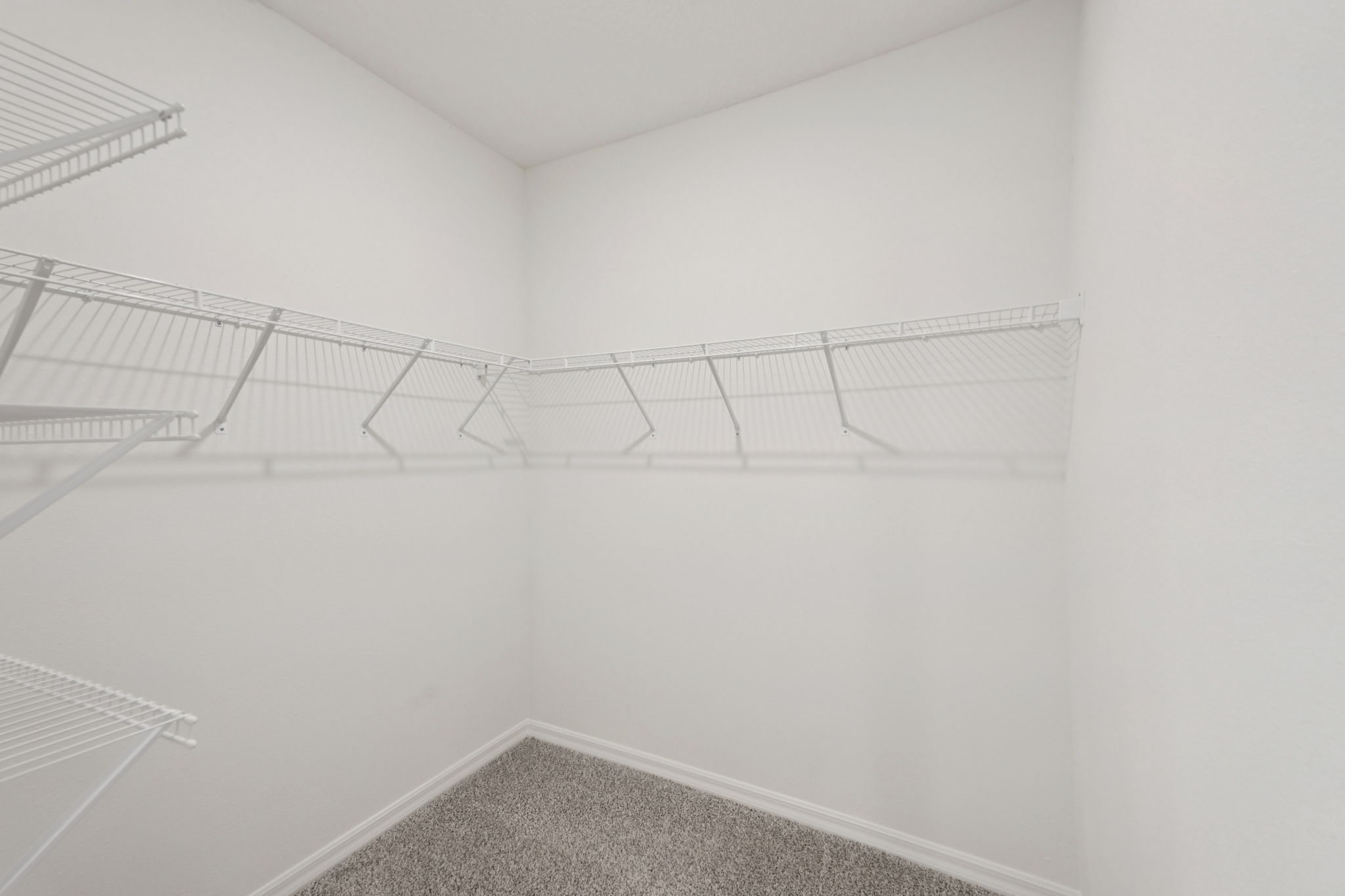 Tampa - Salt Meadows - 14106 Crutchfield Ct Parrish, FL 34219-017