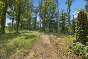  Photo 0