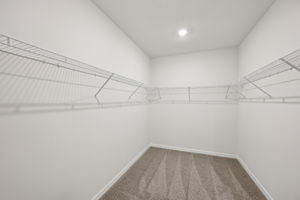 Tampa Division - Salt Meadows - 14112 Gunnison Cove - 016